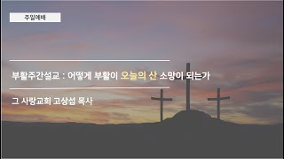 [주일예배] 부활주간설교 : 어떻게 부활이 오늘의 산 소망이 되는가