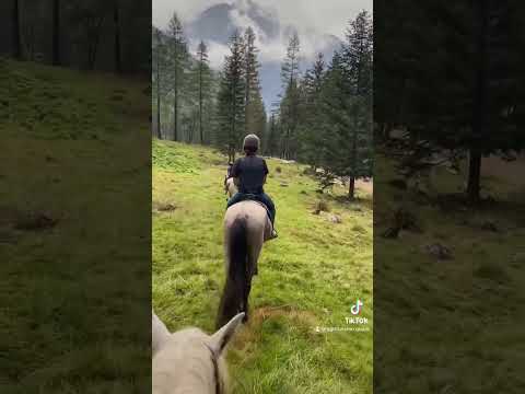 Passeggiate a cavallo a Macugnaga