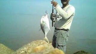 preview picture of video 'Pesca de jurelitos |Escolleras de coatzacoalcos'