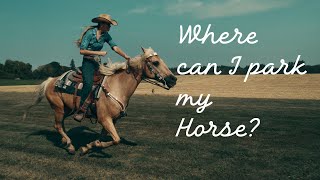 Disharmonic Orchestra - Where can I park my horse?