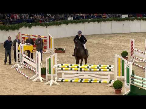 Die Verbandshengste 2020 - Fragonard xx v. Dashing Blade xx - Acatenango xx