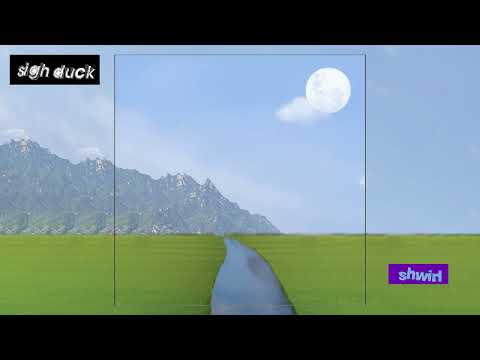 Video thumbnail for ​sigh duck