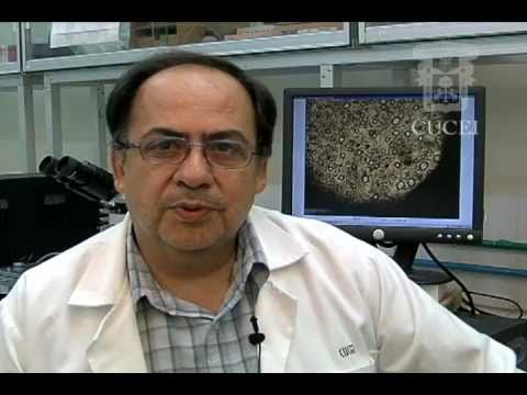 Reología de Fluidos Complejos