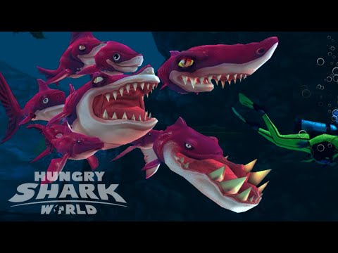 Frenzy live contest | Hungry shark world