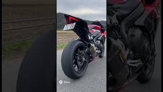 勝手に走っていくな！