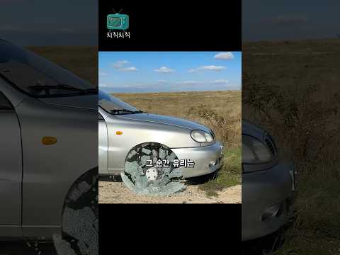 자전거 바퀴를 자동차에 박아버린다면?