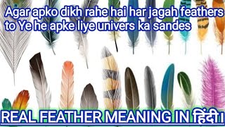 different colours of feather meaning in hindi 🧚🧚🧚 Finding or seeing colorful feathers #featherme...