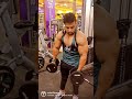 Biceps workout