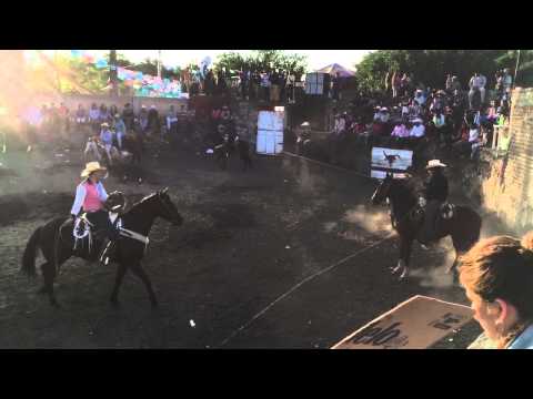 La Venta de Mochitiltic: 1 de Enero 2015 en Los Toros V1