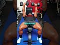 BACK TO THE BASICS | Dumbbell Bench Press