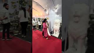 #nagpur #street #shopping #market #youtube #ytvideo #deal #cloth #thailand #shop #streetfood #viral