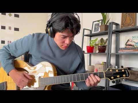 Four Great Jazz Guitar Picks - D'Andrea, Blue Chip, Primetone, and Fender Tru Shell