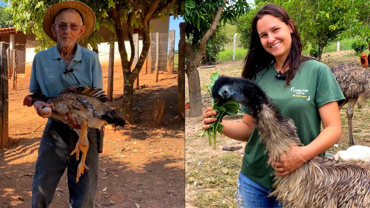 ELA SE MUDOU PRO SÍTIO, LUGAR DE ONDE ELE NUNCA SAIU