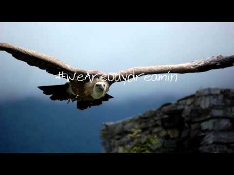 SQUi​REVi​LLE- Vultures (Prod. By Prime)