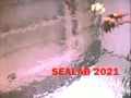2001 Next Sea Lab 2021 Adult Swim