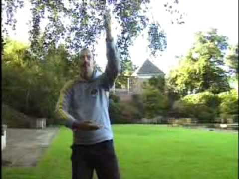 Three Simple Qigong Exercises