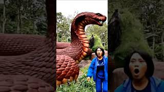 Download lagu Batu ular raksasa #shorts #videoshort #viral mp3