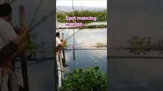 Download lagu spot mancing yang indah #shortsviral #mancing #fishing #soundviral #shorts mp3 Download lagu spot mancing yang indah #shortsviral #mancing #fishing #soundviral #shorts mp3
