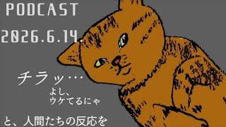 podcast女性シンガーソングライターの深夜の一人語り雑談ラジオ - MASAYO KASENO
