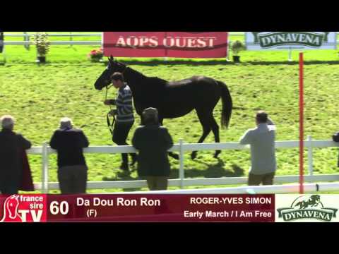 Show AQPS 2015 : lot 60 - Da Dou Ron Ron - F13 - Early March & I Am Free