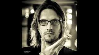 Steven Wilson - Transience (Single Version)