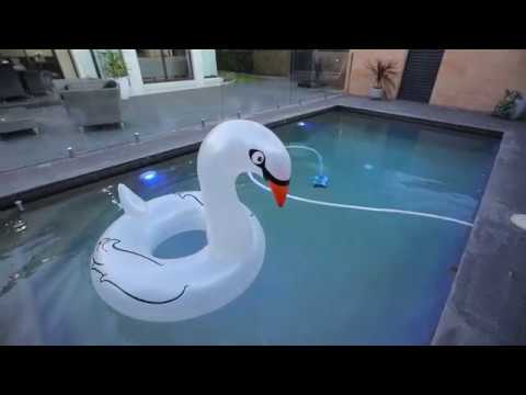 43 Howard Street, Strathfield - David Pisano