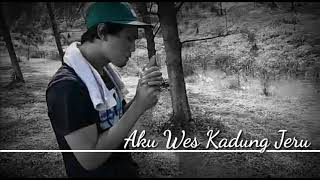 Download lagu Aku wes kadung jeru mp4 mp3 Download lagu Aku wes kadung jeru mp4 mp3