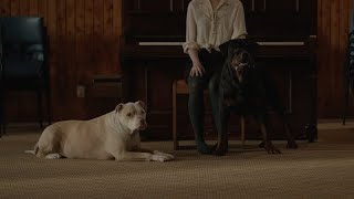 The Dark Arts Music Video