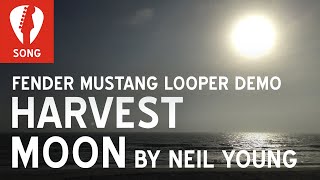Fender Mustang GT GTX Looper Pedal Demo - Harvest Moon by Neil Young (w acoustic and electric tones)