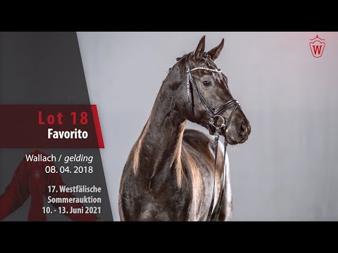 Westfälische Sommer-Auktion Lot 18 Favorito Wallach v. Freischütz - Rock Forever I