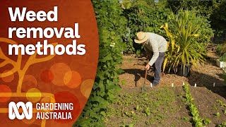 Remove weeds using these effective methods | Gardening 101 | Gardening Australia