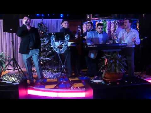 Busha ungro 2012год