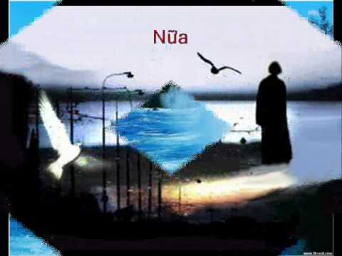 Mơ ngày về quê hương - Duy Quang