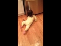 Lola S Tantrum And Apology