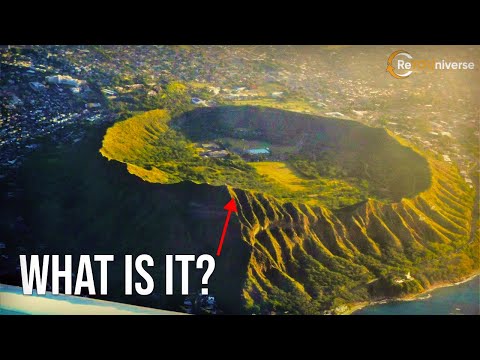 Where did they come from on Earth?