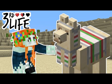 THE PLAN - 05 - 3rd Life