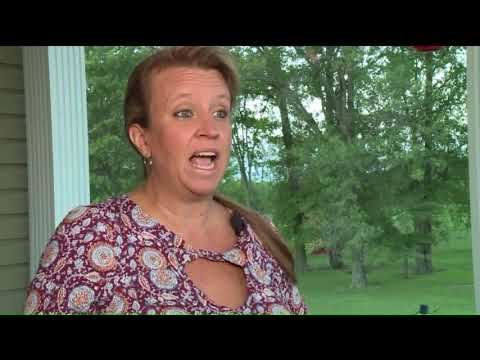 Meteor Streaks Across St. Louis Sky