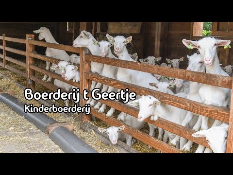 Boerderij t Geertje Kinderboerderij