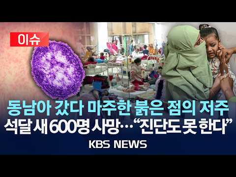 [이슈] 동남아 갔다 마주한 붉은 점의 저주/석달 새 600명 사망..."진단도 못 한다"/2026년 6월 4일(목)/KBS