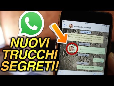 Violazione della scheda video del collo dellutero Legamento lo sviluppo del gomito
