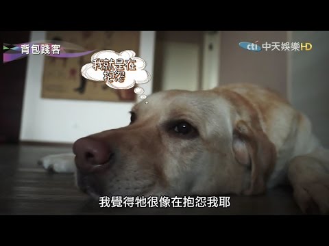 與毛小孩一起露營去：背包踐客