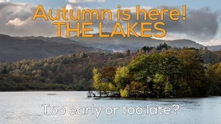 Autumn Colours at the LAKE DISTRICT - Too late or too early?
