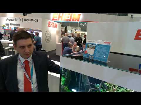 Watch Video on YouTube