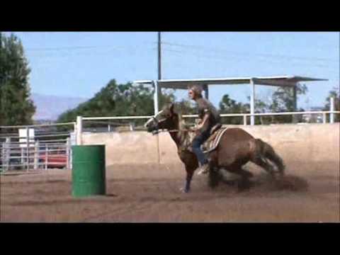 Pam DiMaggio and Frenchys First Charm 10-09-11