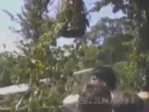 1997 Barth Tonnenabschlagen