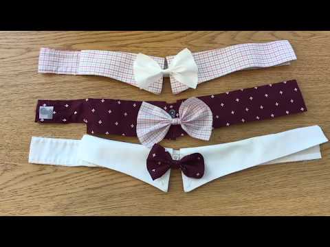 ENG H DIY Project: Dog Collar and Bowtie
