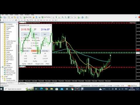 Video MT5Eezeorder 2
