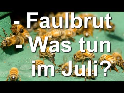 Spülungen Gelenke Rückenschmerzen in der Scapula und Arm