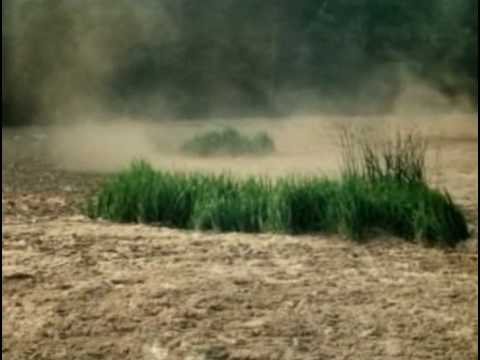 Cuba de Zoo - No chodź