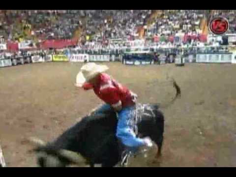 Kody Lostroh VS Cat Man Do